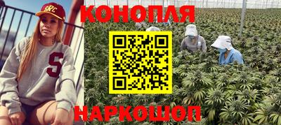 сатива Кунгур